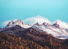 乐鱼：把海洋的温柔带回家